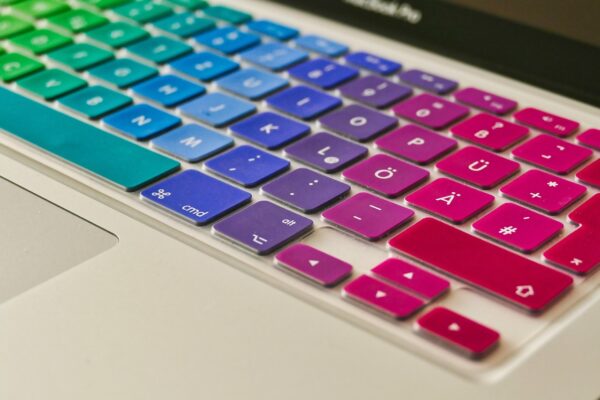 Future-Proof Freelance: Skills That Pay Tomorrow