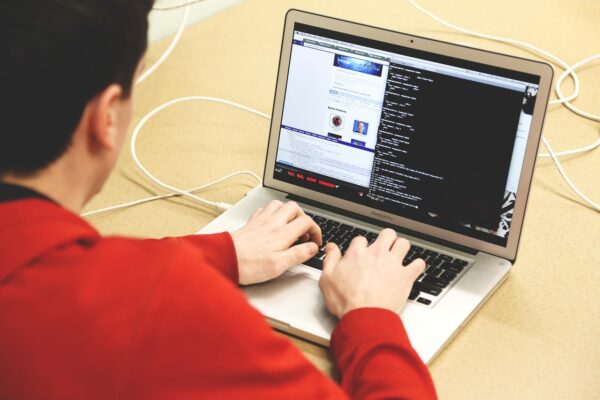 Domain Flipping: Unearthing Hidden Gems, Maximizing ROI