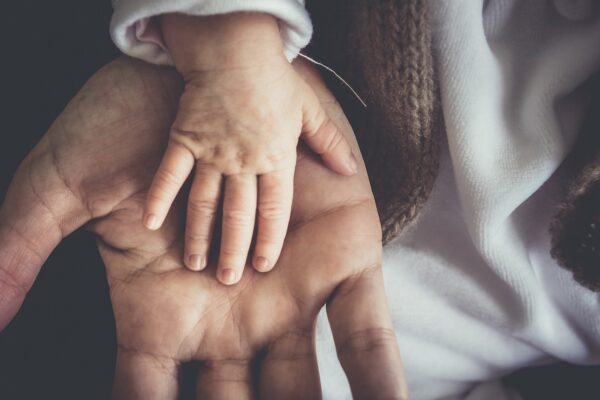 Love In The Algorithm: Decode, Connect, Thrive