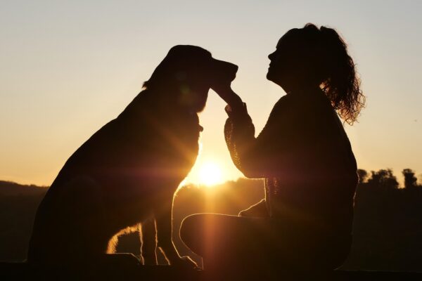 Rejection Rehab: Rewiring Resilience For Radical Acceptance