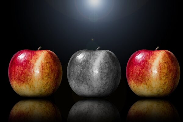 Beyond Checklists: Charting Your Authentic Life Audit