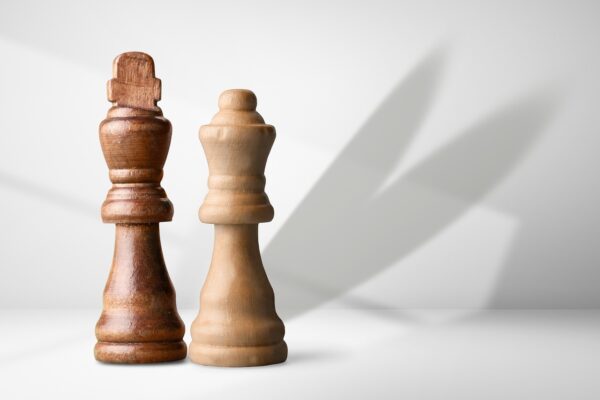 Beyond The Bouquet: Conscious Connection In Relationships